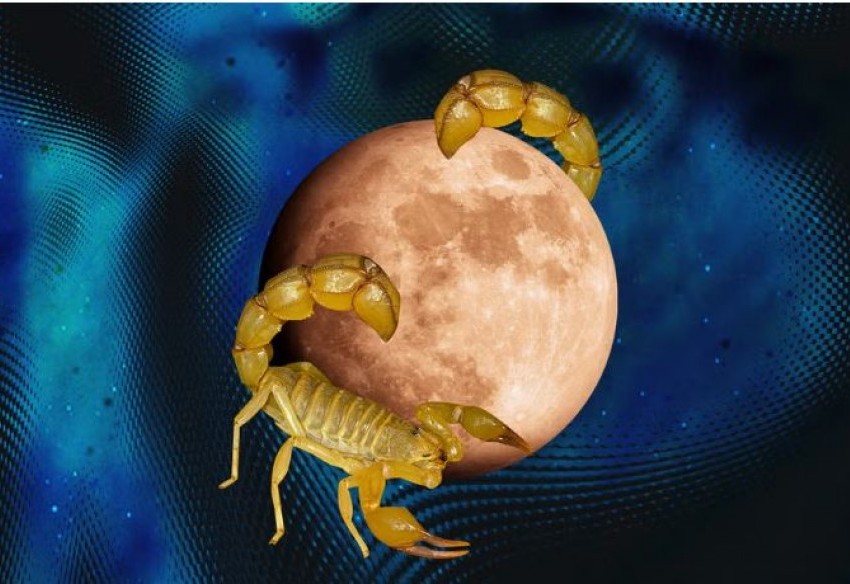 Calendário lunar para maio 2025: os melhores dias do mês